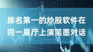 排名第一的炒股软件在同一展厅上演笔墨对话