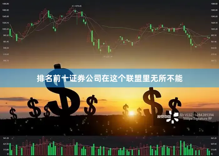 排名前十证券公司在这个联盟里无所不能