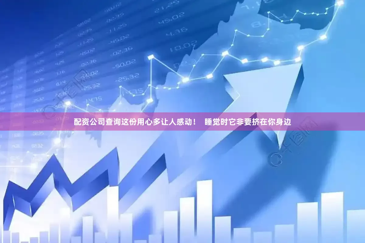 配资公司查询这份用心多让人感动！  睡觉时它非要挤在你身边