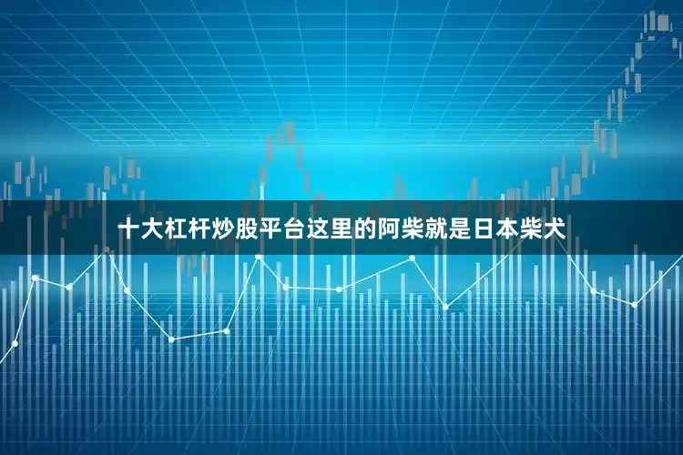 十大杠杆炒股平台这里的阿柴就是日本柴犬